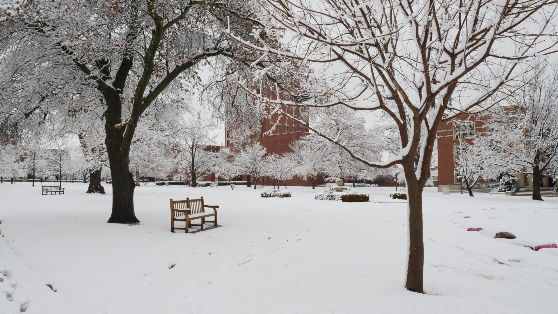 Snow on the South Oval